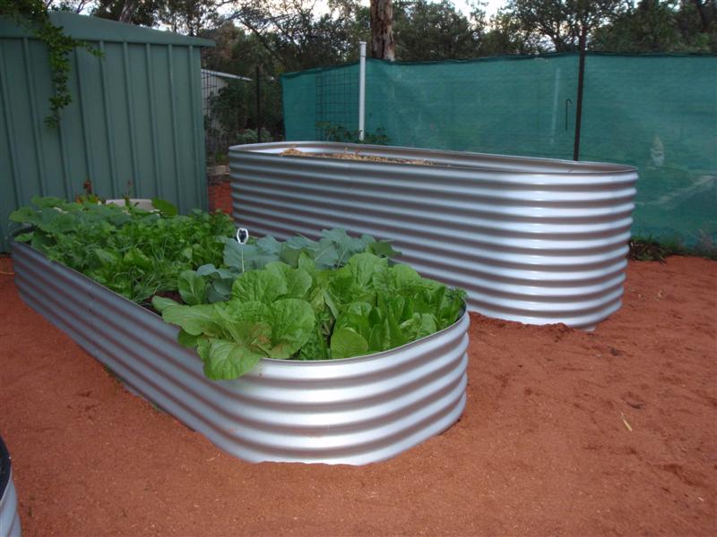 P4170409 (Medium).JPG