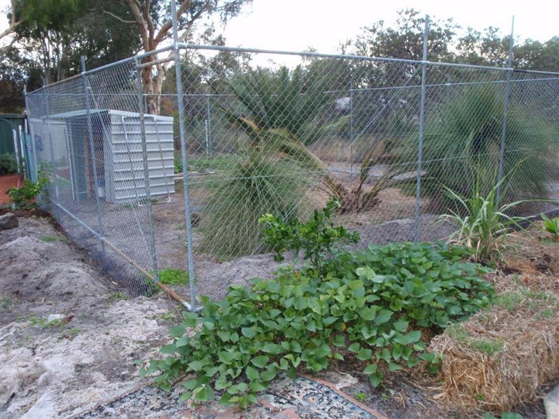 P4170412 (Medium).JPG