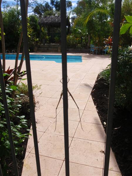 P4200440 (Medium).JPG