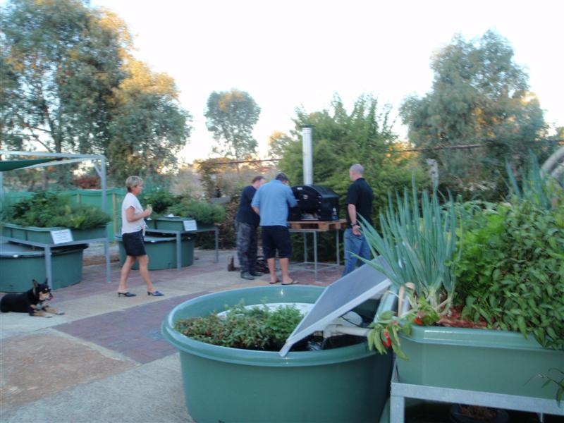 P4210452 (Medium).JPG