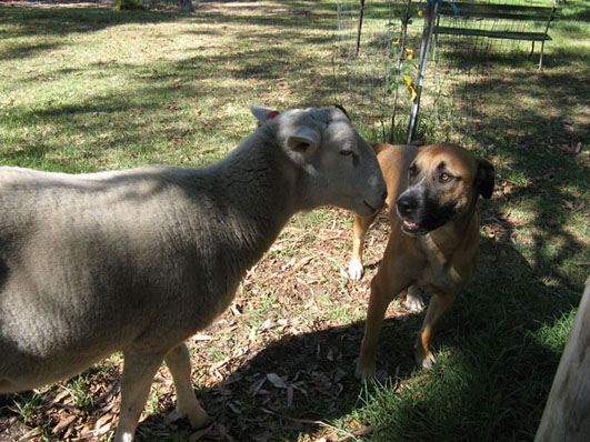 Finn and 220 JPG copy.JPG