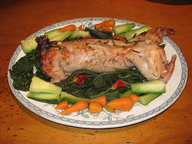 home grown rabbit and vegie dinner copy.JPG