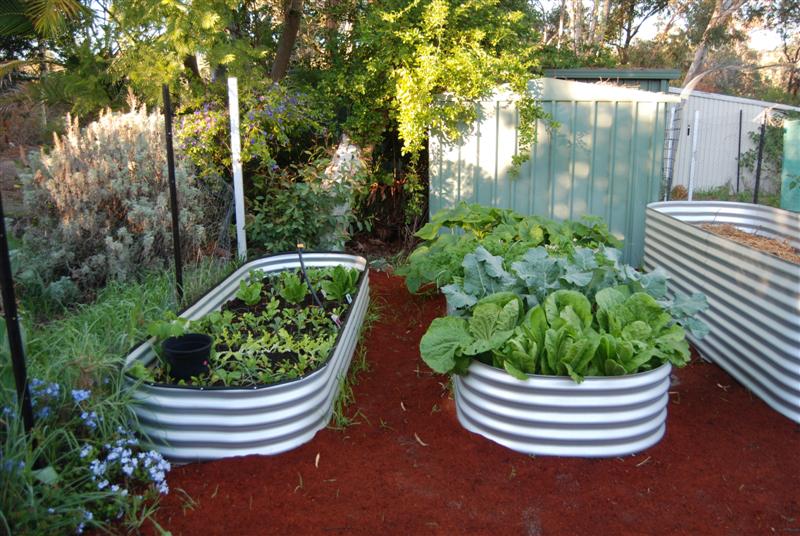 DSC_0057 (Medium).JPG