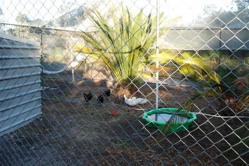 DSC_0058 (Medium).JPG