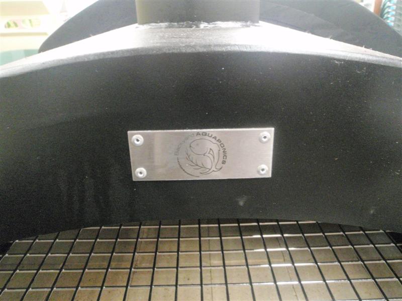 P5020042 (Medium).JPG