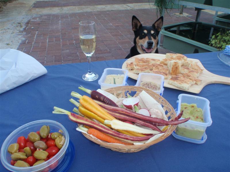 P5060139 (Medium).JPG