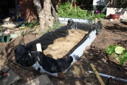 wicking bed 04.jpg