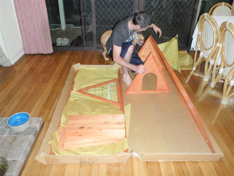 P5080247 (Medium).JPG