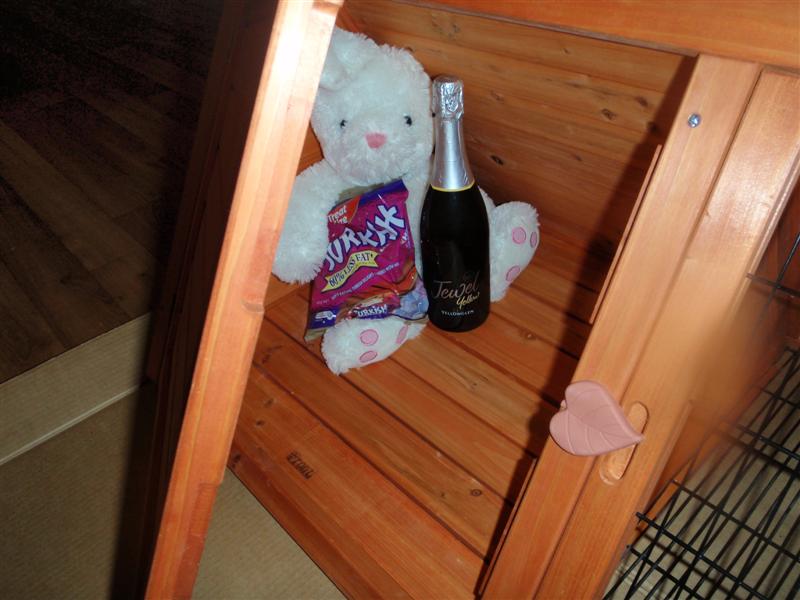 P5080255 (Medium).JPG