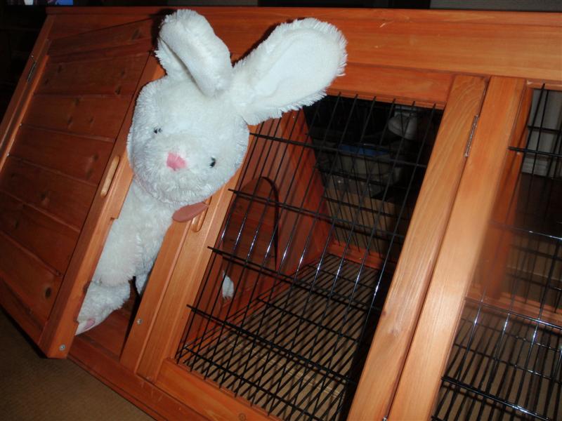 P5080251 (Medium).JPG