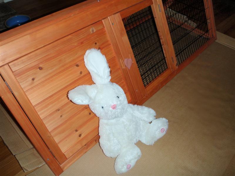 P5080250 (Medium).JPG