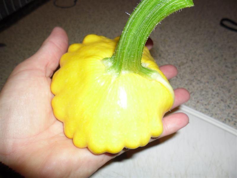 SAM_0020 (Medium).JPG