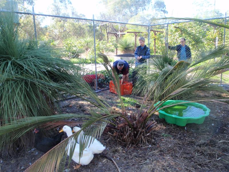 P5220292 (Medium).JPG