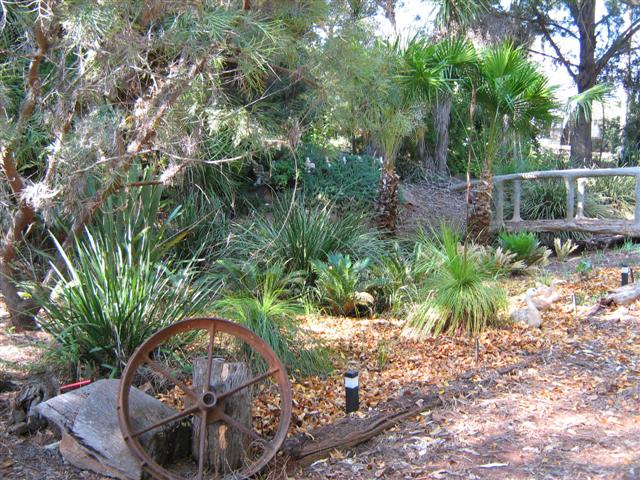 assorted photos 2011 010 (Small).jpg