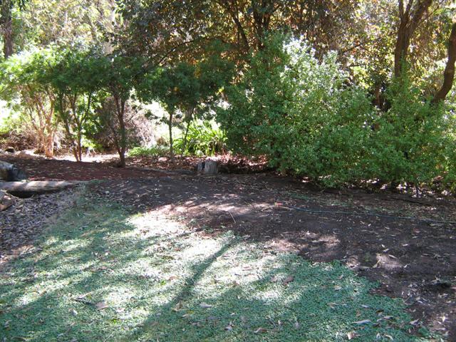 assorted photos 2011 020 (Small).jpg