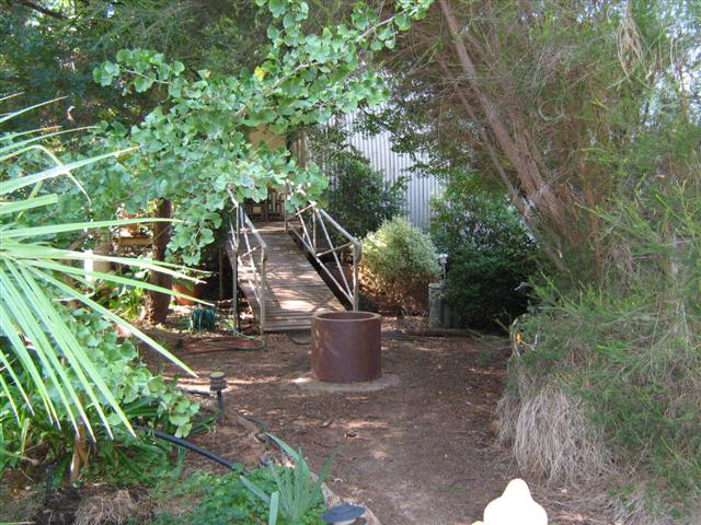 assorted photos 2011 011 (Small).jpg