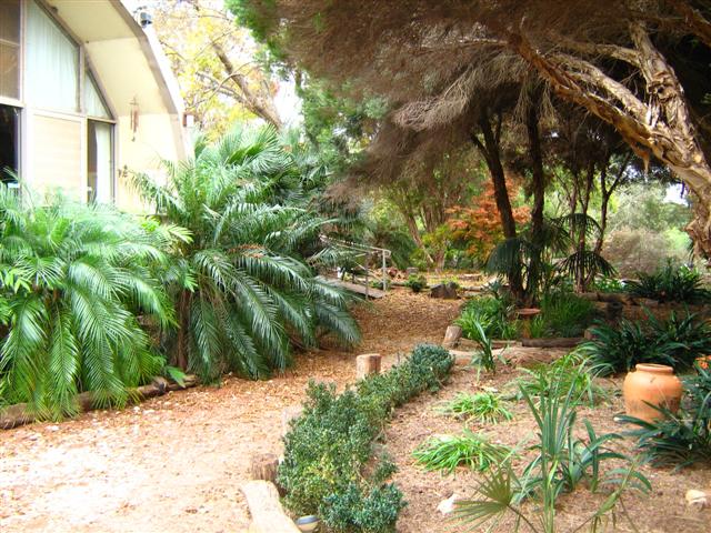 assorted photos 2011 034 (Small).jpg