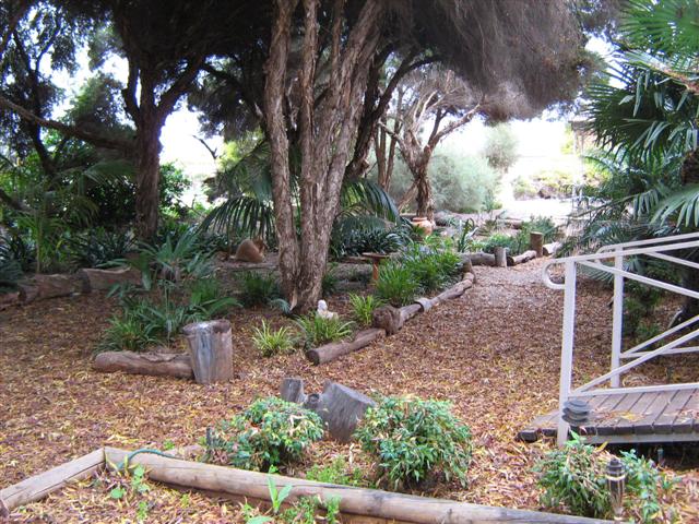 assorted photos 2011 035 (Small).jpg