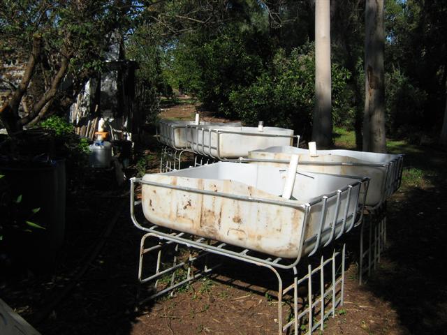 assorted photos 2011 008 (Small).jpg