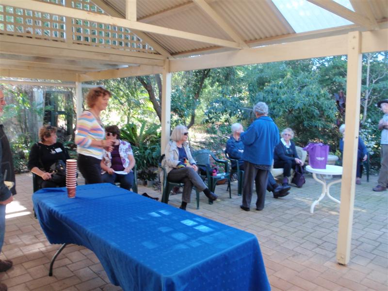 P5290361 (Medium).JPG