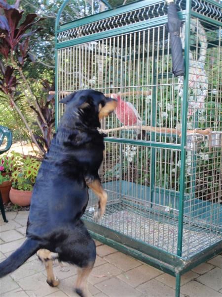 P5290377 (Medium).JPG