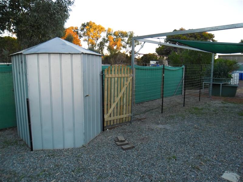 SAM_0062 (Custom).JPG