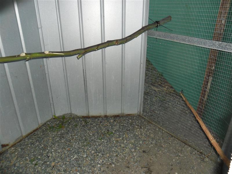 SAM_0065 (Custom).JPG