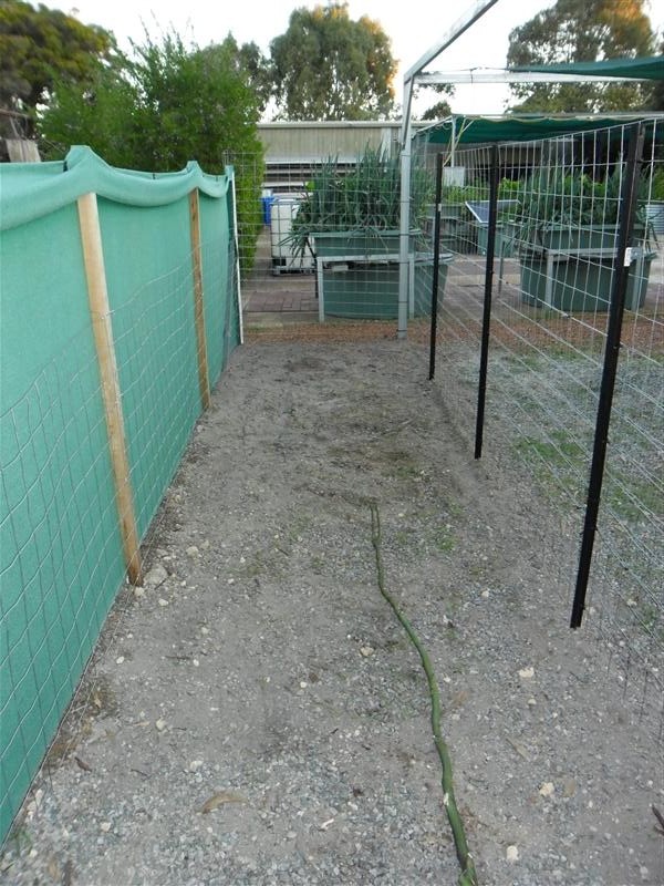 SAM_0066 (Custom).JPG