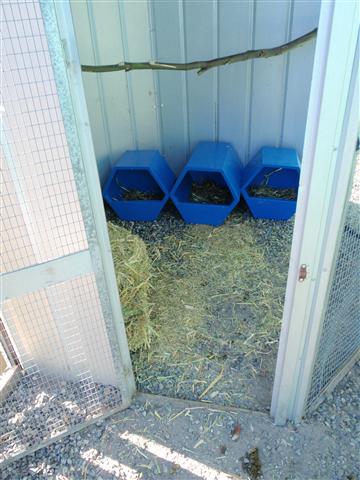 P6090473 (Small).JPG