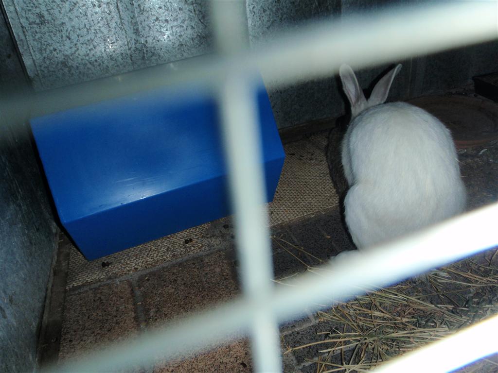 P6100452 (Medium).JPG