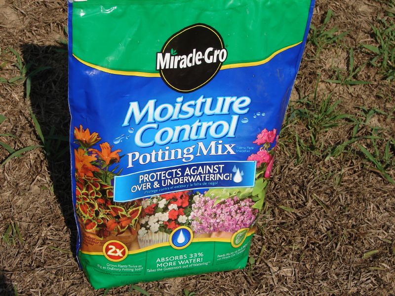 Potting Mix.JPG
