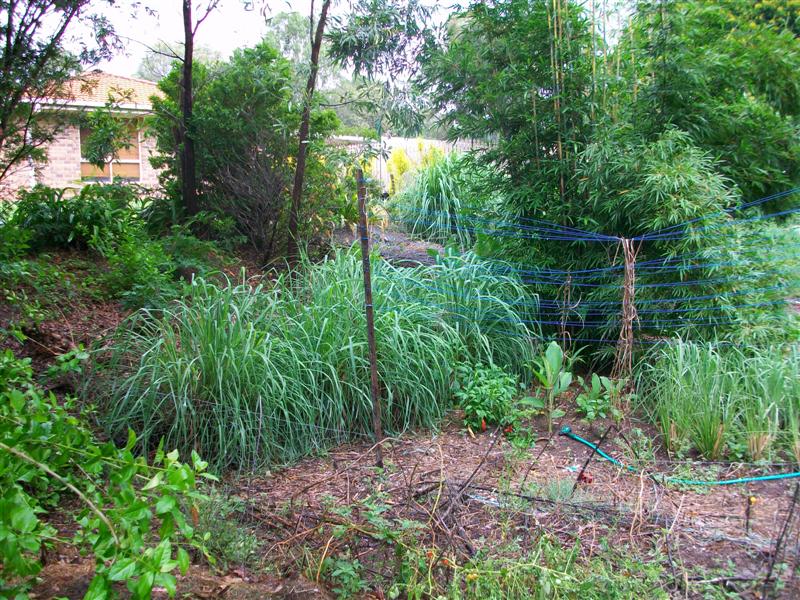 100_0757 (Medium).JPG