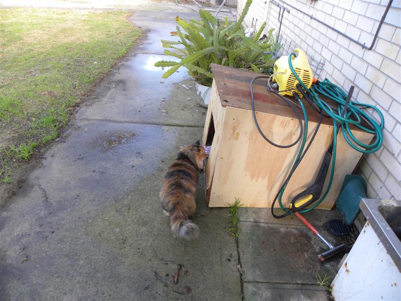 gardens byf 038 (Medium).jpg