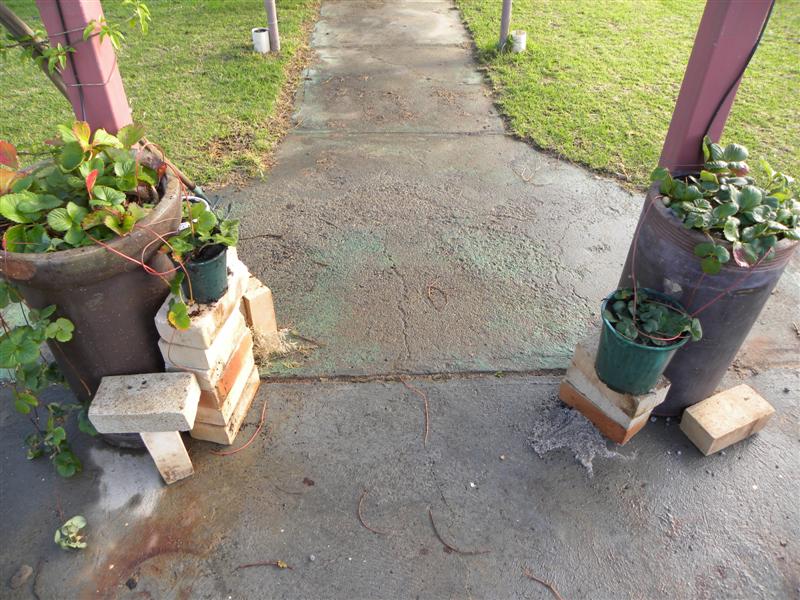 gardens byf 036 (Medium).jpg