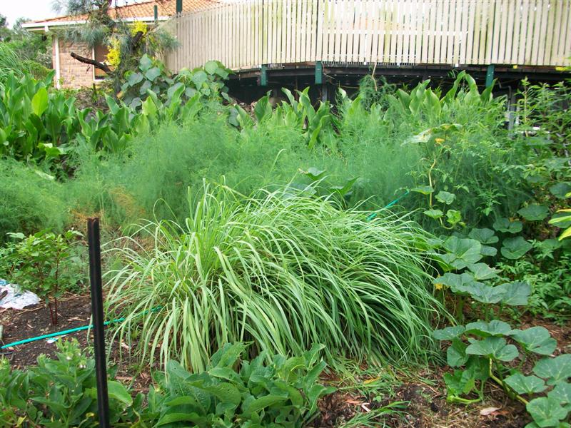 100_0763 (Medium).JPG