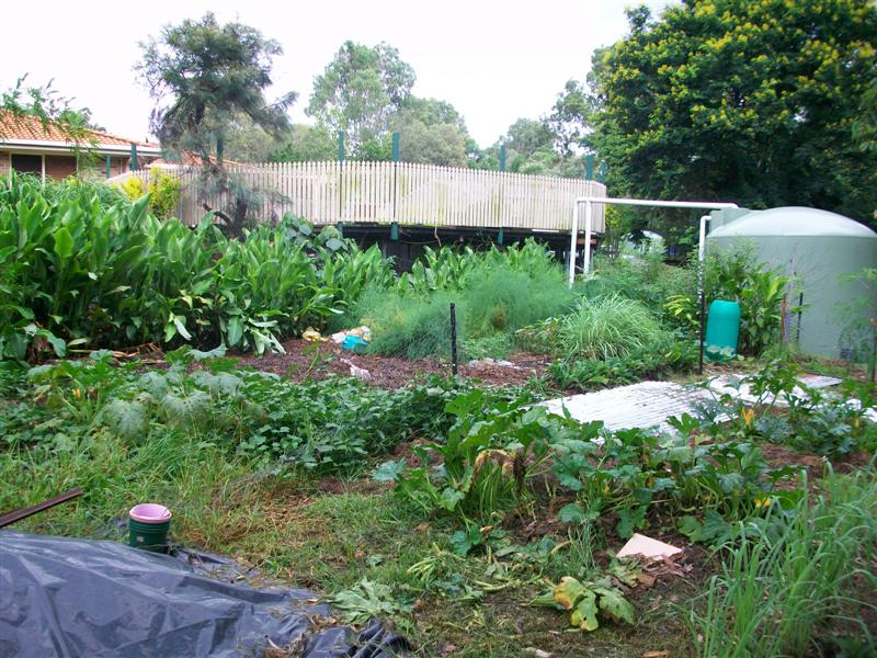 100_0760 (Medium).JPG