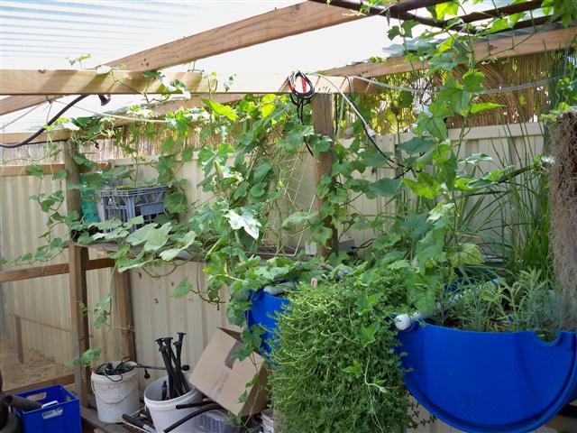 100_0658 (Small).JPG