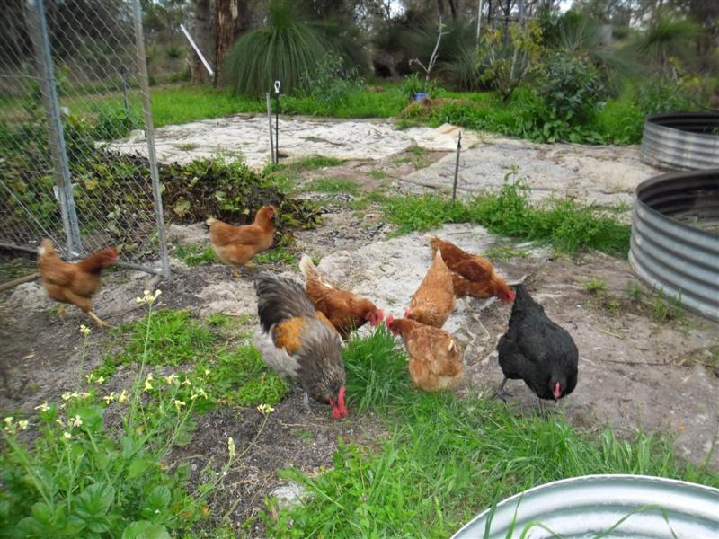 SAM_0304 (Medium).JPG