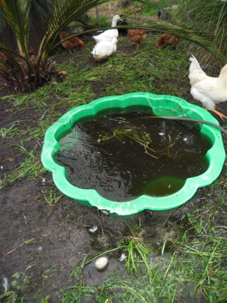 SAM_0301 (Medium).JPG