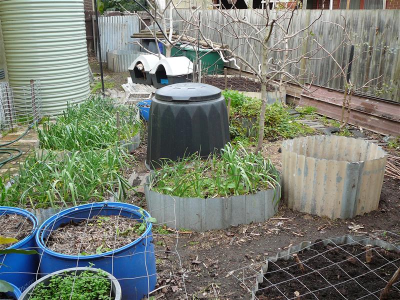 P1050547 (Custom).JPG