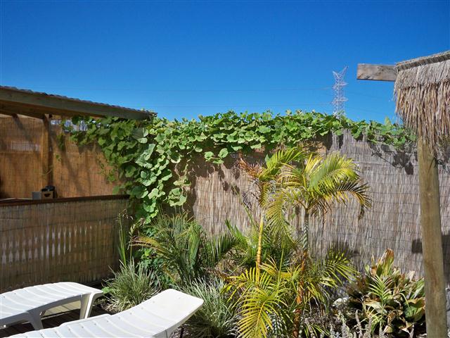 100_0653 (Small).JPG