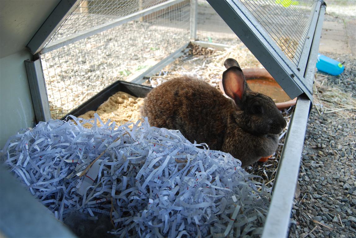 DSC_0004 (Medium).JPG