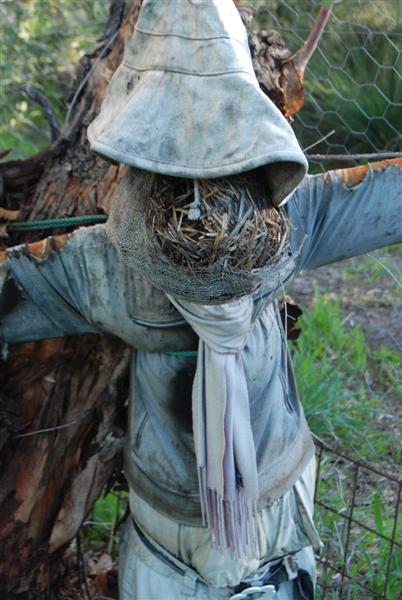 DSC_0160 (Medium).JPG