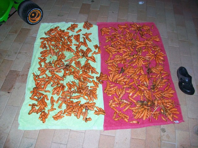 100_2681 (640x480).jpg