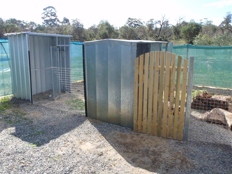 P8100336 (Medium).JPG