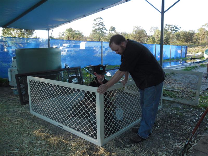 SAM_0617 (Medium).JPG