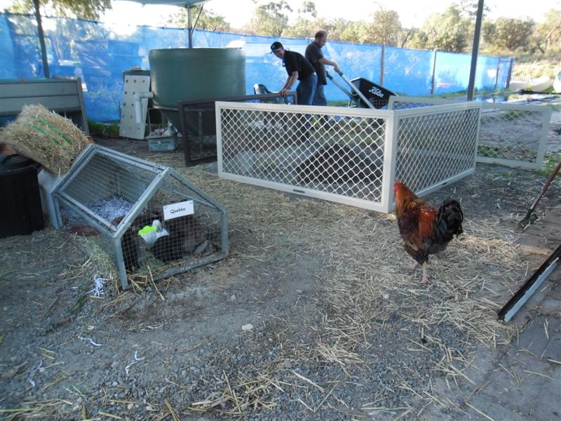 SAM_0618 (Medium).JPG