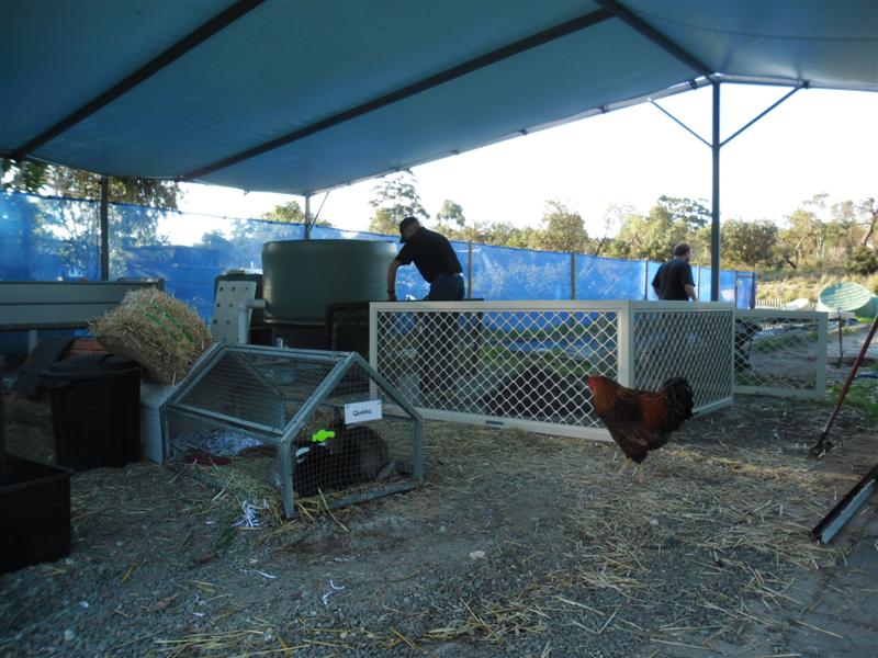 SAM_0619 (Medium).JPG