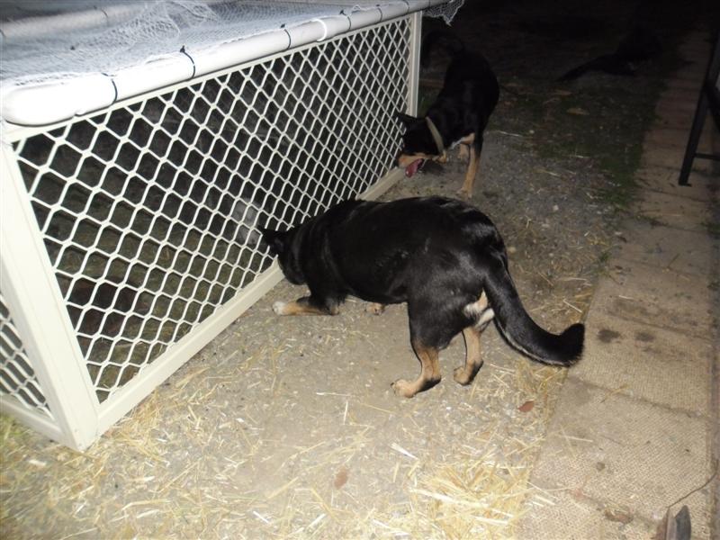 SAM_0621 (Medium).JPG