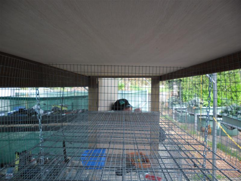 SAM_0706 (Custom).JPG